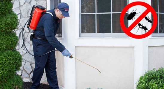 Tirebolu Akrep İlaçlama böcek ilaçlama ve haşere kontrolü — ilaclama-tr.com
